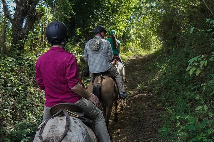 Horseback Ride Near Cartagena — Fundación Loros Eco-Ride Through Tropical Dry Forest photo 2