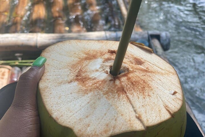 Lethe Bamboo Rafting from Montego Bay — 3-Mile Great River Raft Experience photo 3