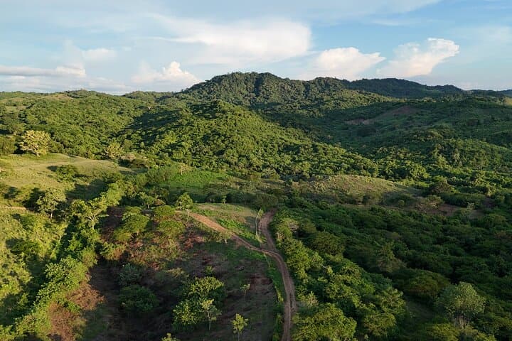 Horseback Ride Near Cartagena — Fundación Loros Eco-Ride Through Tropical Dry Forest photo 3