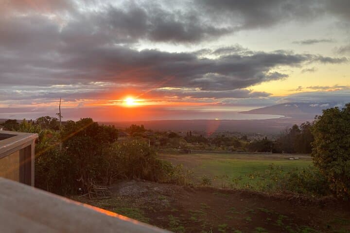 Paint and Sip at Maui Bird House — Kula Upcountry Art Experience photo 2