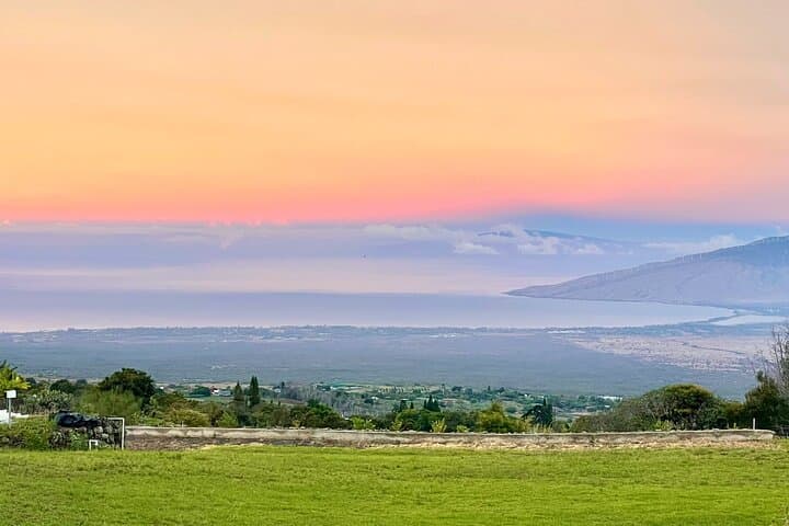 Paint and Sip at Maui Bird House — Kula Upcountry Art Experience photo 3