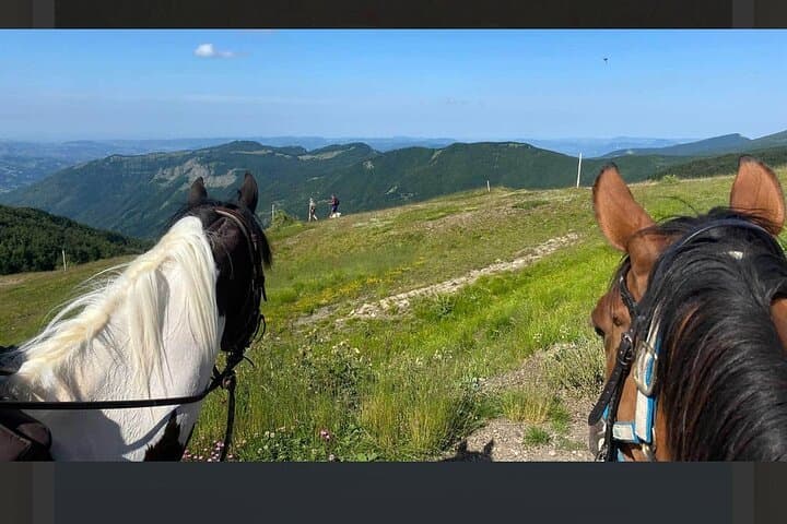 Horseback Riding in the Tuscan Hills — Pistoia Trails & Views