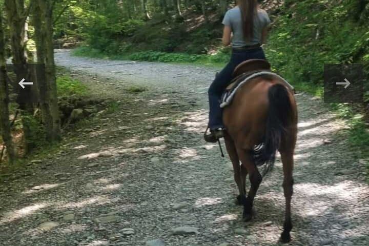 Horseback Riding in the Tuscan Hills — Pistoia Trails & Views photo 3