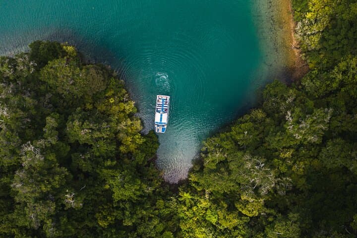 Postie's Day Off Cruise: Havelock to Marlborough Sounds Mail-Boat Adventure photo 5