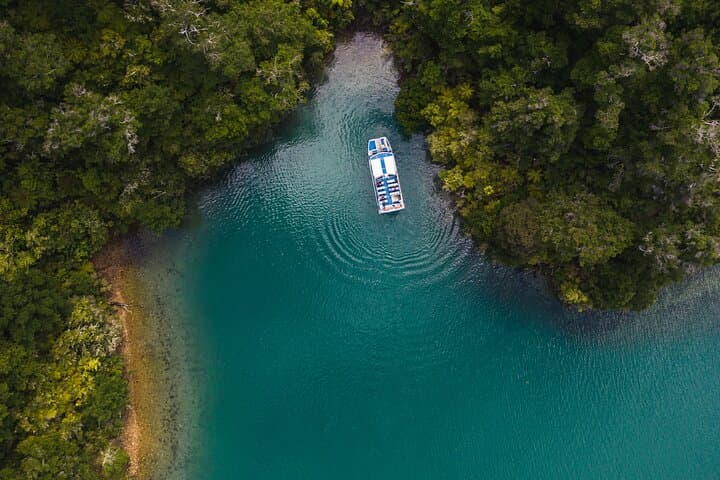 Postie's Day Off Cruise: Havelock to Marlborough Sounds Mail-Boat Adventure photo 6