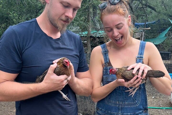 Austin Homestead Tour — Birds, Bees, Plants & Goats on a Working Ranch photo 4