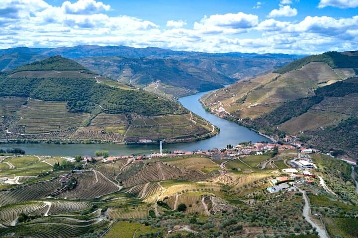 Douro Wine Day Tour: Small-Group Van, Tastings, Lunch & Rabelo Cruise photo 5