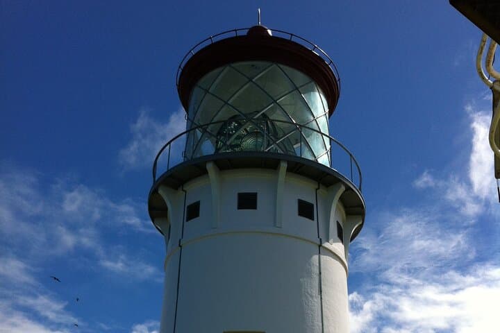 Best of Kauai: Fern Grotto River Cruise & Kilauea Lighthouse Day Tour photo 6