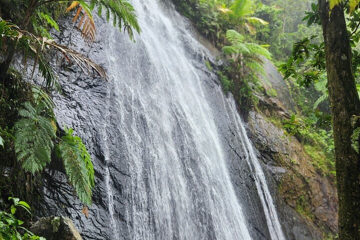 El Yunque Rainforest and Luquillo Beach Day Tour from San Juan photo 2