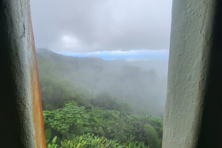 El Yunque Rainforest and Luquillo Beach Day Tour from San Juan photo 4