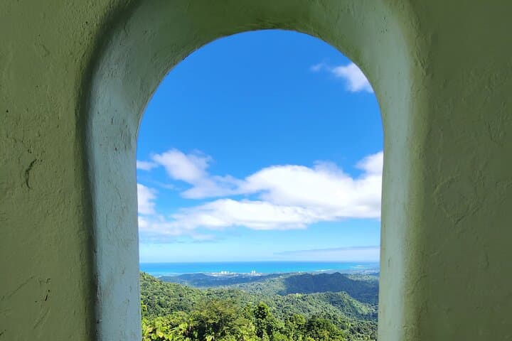 El Yunque Rainforest and Luquillo Beach Day Tour from San Juan photo 5