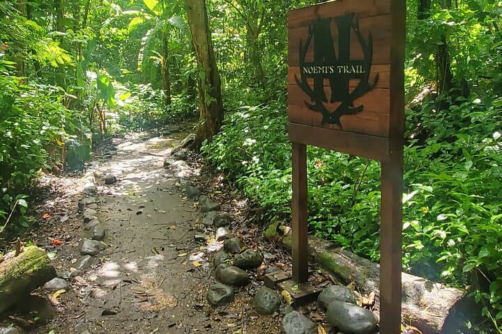 El Yunque Rainforest and Luquillo Beach Day Tour from San Juan photo 6