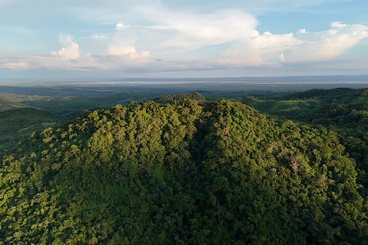 Conservation UTV and Horseback Adventure at Fundación Loros near Cartagena photo 3