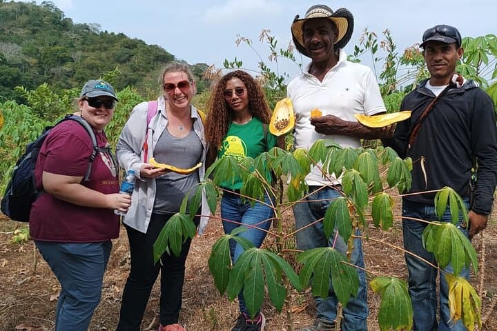 Volunteer with Monkeys at Fundación Loros Near Cartagena — Half-Day Conservation Experience photo 5