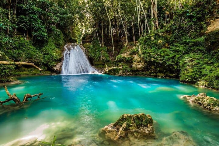 Blue Hole and Dunn’s River Private Day Trip from Montego Bay photo 6