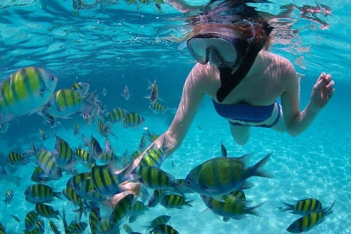 Infinity Bay Shore Snorkeling & West Bay Beach Day — Roatán's Easy Shore Reef Escape