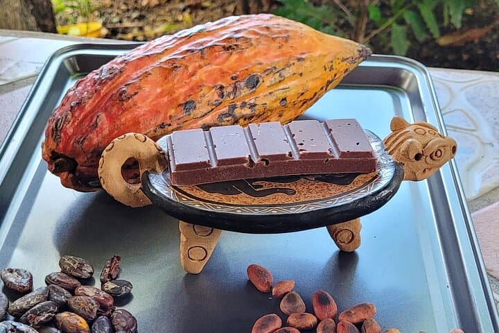 Hands-On Coffee & Chocolate Tour in Playas del Coco: Roaster Visit & Tastings photo 6
