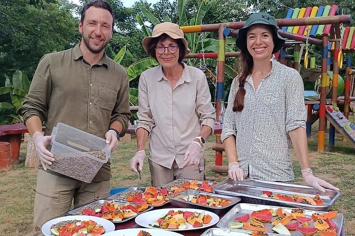 Volunteer at Fundación Loros: Parrot & Macaw Sanctuary Near Cartagena photo 2