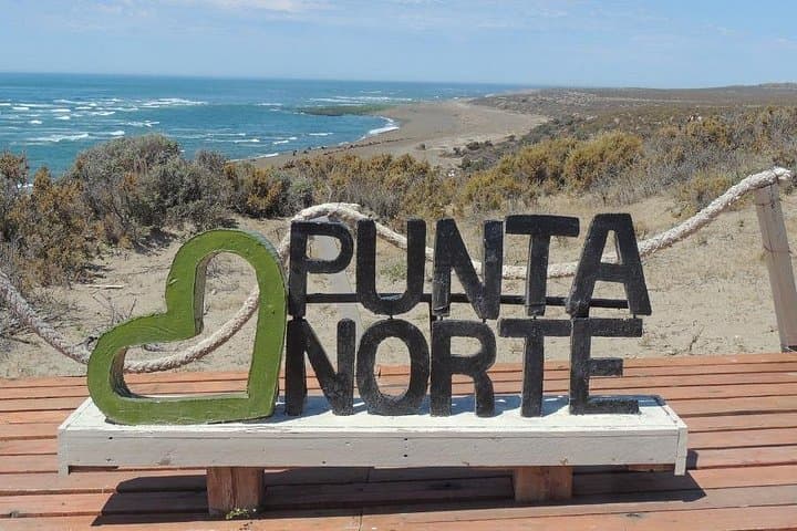 Valdes Peninsula Wildlife Day Trip from Puerto Madryn — Cruise-Friendly Excursion photo 6
