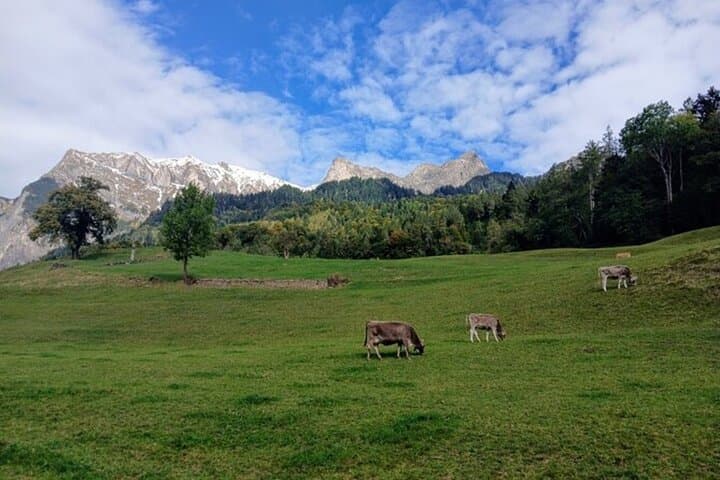Private Heidiland Day Trip from Zurich — Heididorf & Scenic Stops photo 3