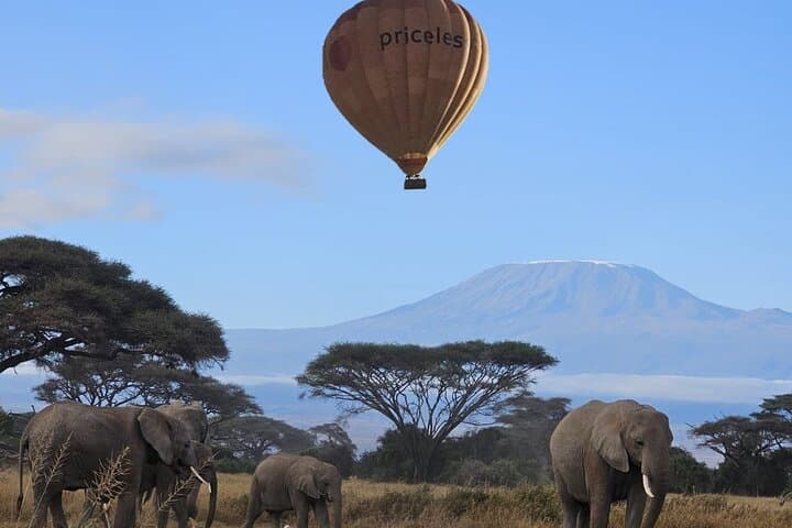 amboseli-day-trip-from-nairobi-kilimanjaro-views-and-elephant-herds photo 2