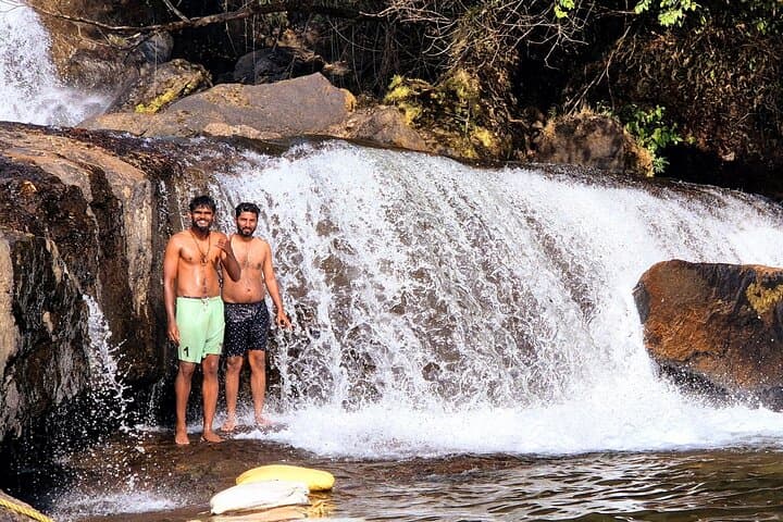 Anakulam Jeep Safari: Wild Elephant Encounters & Waterfalls Near Munnar photo 5