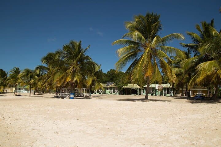 Saona Triple Paradise: Three-Beach Speedboat Tour from Bayahibe