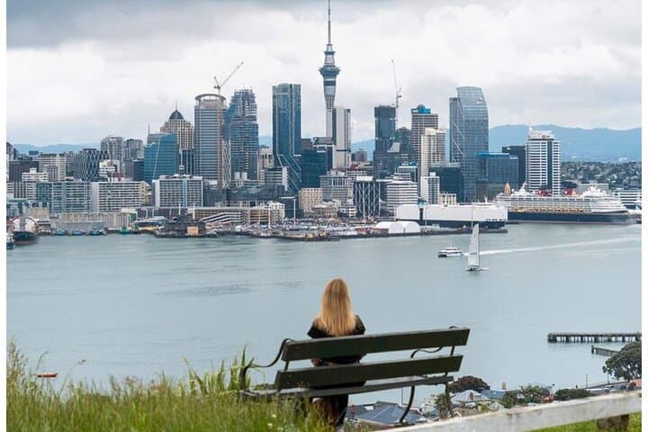 Half-Day Auckland Private Highlights Tour: Mt Eden, Devonport & Harbour Views