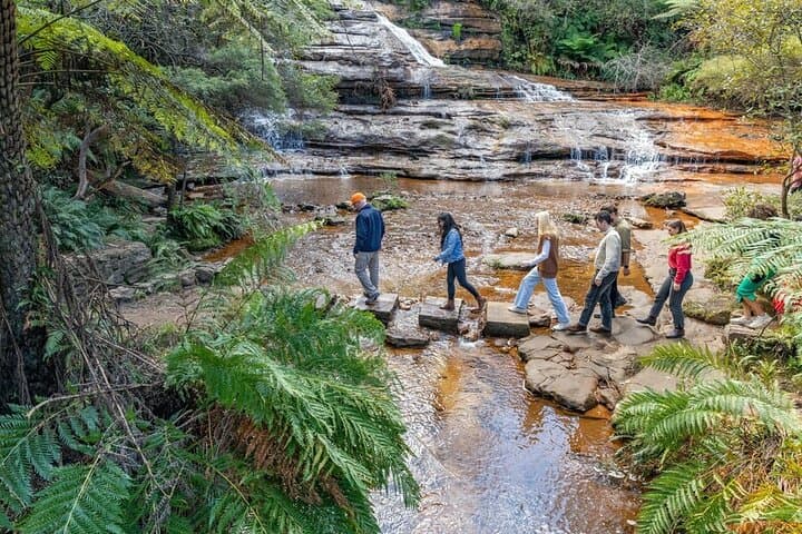 Blue Mountains Sunset Tour from Sydney: Three Sisters, Wentworth Falls & Wildlife photo 3