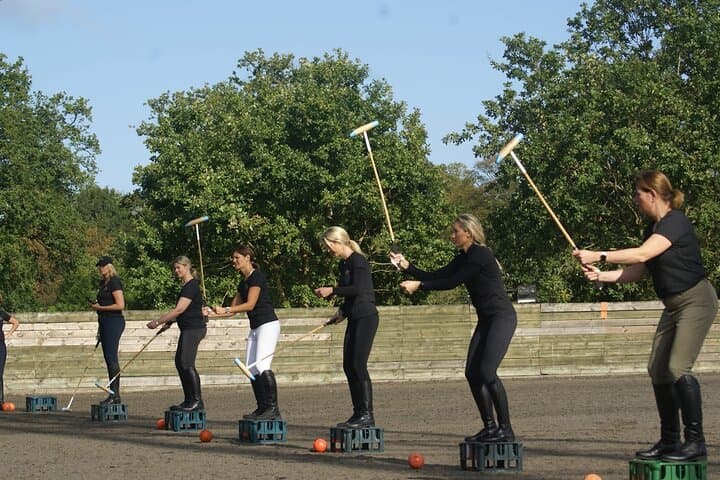 Two-Hour Polo Experience Near London — HPA Coaching & Beginner-Friendly Chukka photo 6