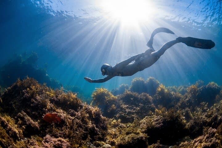 PADI Basic Freediver Course in Athens — Learn Breathhold Skills in Confined Water photo 2