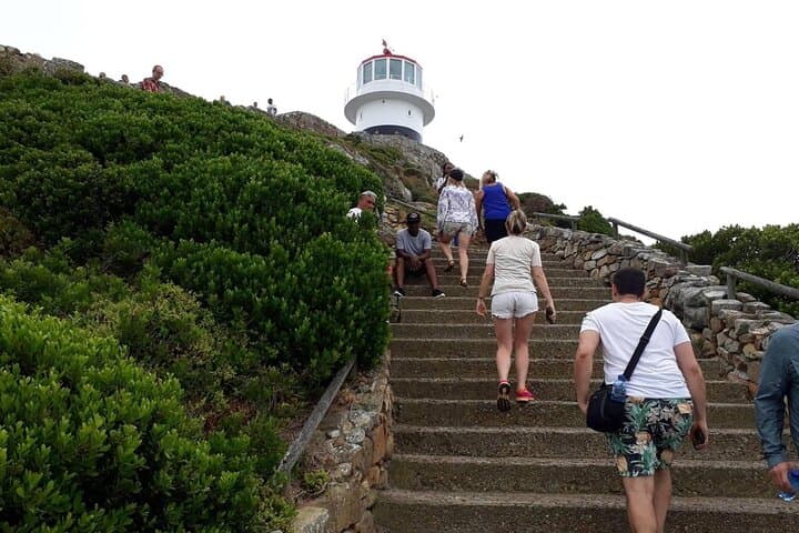 Cape Peninsula Day Trip: Cape of Good Hope, Cape Point & African Penguin Colony photo 3