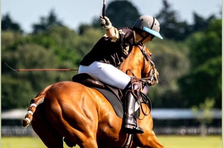 Two-Hour Polo Experience Near London — HPA Coaching & Beginner-Friendly Chukka photo 5