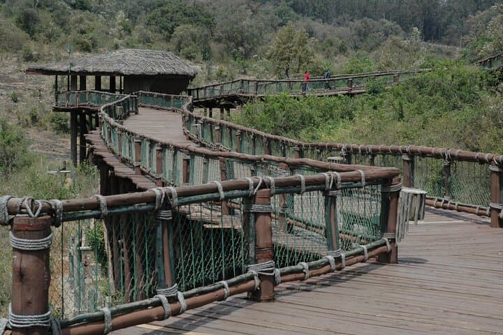 Nairobi Animal Orphanage, Safari Walk & Bomas Cultural Dance — Full-Day Tour photo 3
