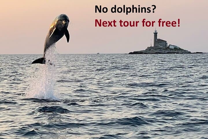 Rovinj Private Sunset Dolphin Watching Speedboat Tour with Drinks