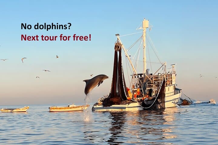 Sunrise Dolphin Watching & Fishermen at Work — Speedboat Tour in Rovinj