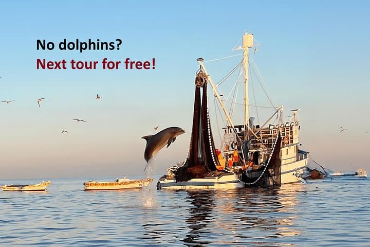 Private Sunrise Dolphins & Fishermen at Work — Rovinj Small-Boat Tour photo 1