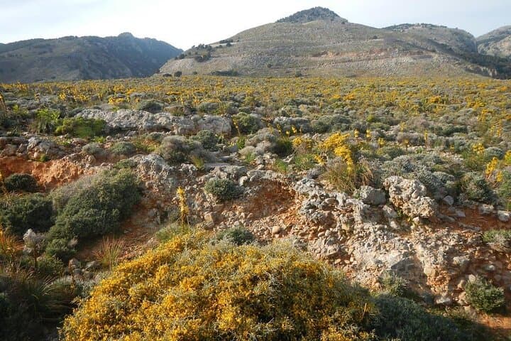 Imbros Gorge Private Hike and Libyan Sea Swim — Day Tour from Chania photo 5