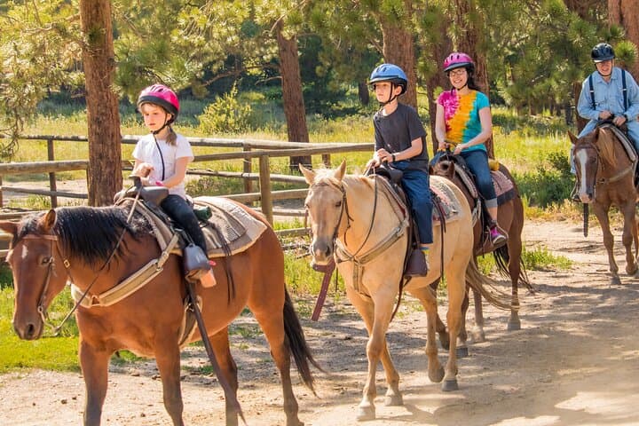 Kusadasi Horseback Riding: Pine-Forest & Beach Trail Ride with Transfer photo 2