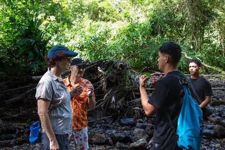 Jaco Waterfall Tour: Hike, Swim & Cliff Jump to 10 Hidden Falls photo 3