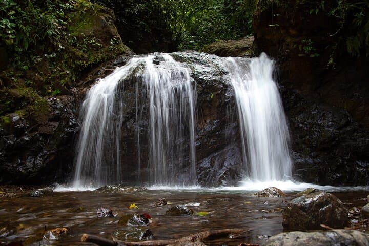 Jaco Waterfall Tour: Hike, Swim & Cliff Jump to 10 Hidden Falls