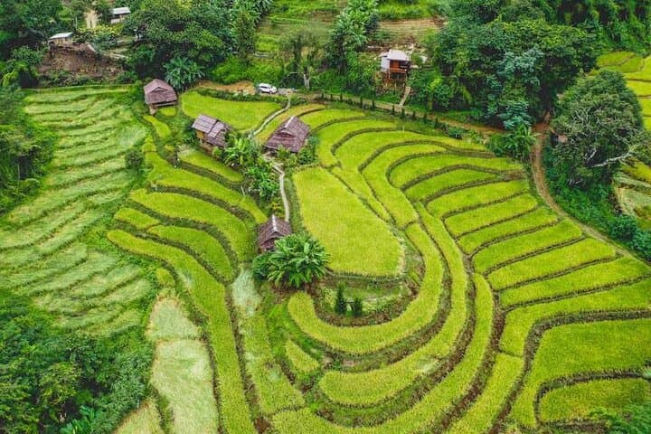 Trek Doi Inthanon: Pha Dok Seaw Trail, Waterfalls & Hill Tribe Markets photo 5