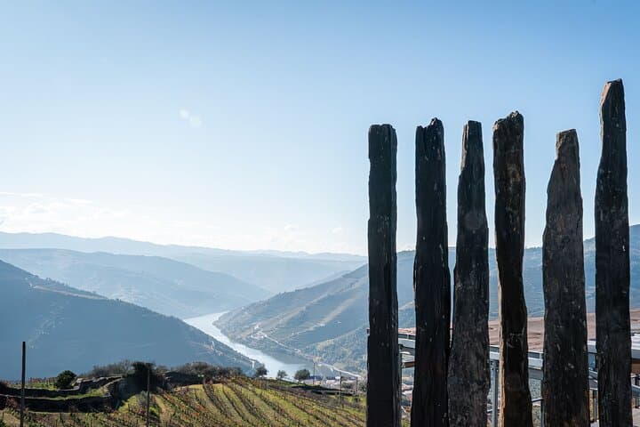 Douro Valley Day Trip: Wineries, Lunch & Rabelo River Cruise from Porto photo 6