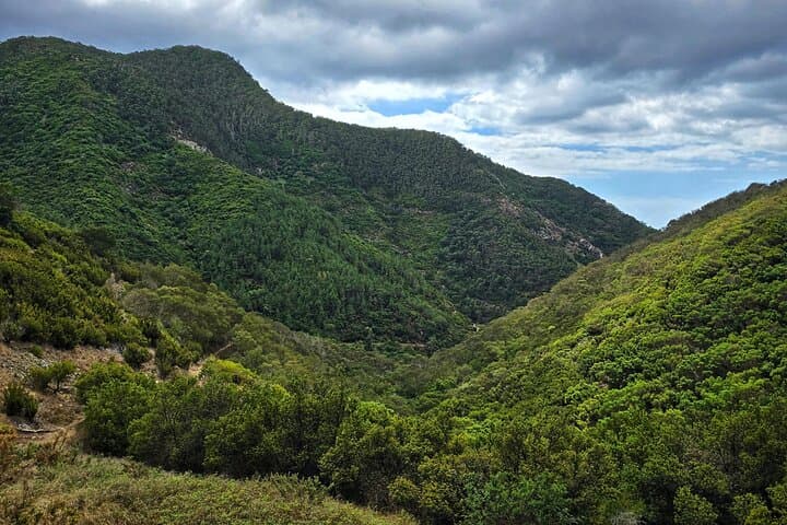 Vereda do Larano & Boca do Risco Private Coastal Hike — Madeira’s Eastern Cliffs photo 4