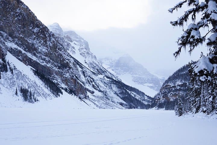 Mount Norquay Tubing & Lake Louise Winter Adventure photo 6