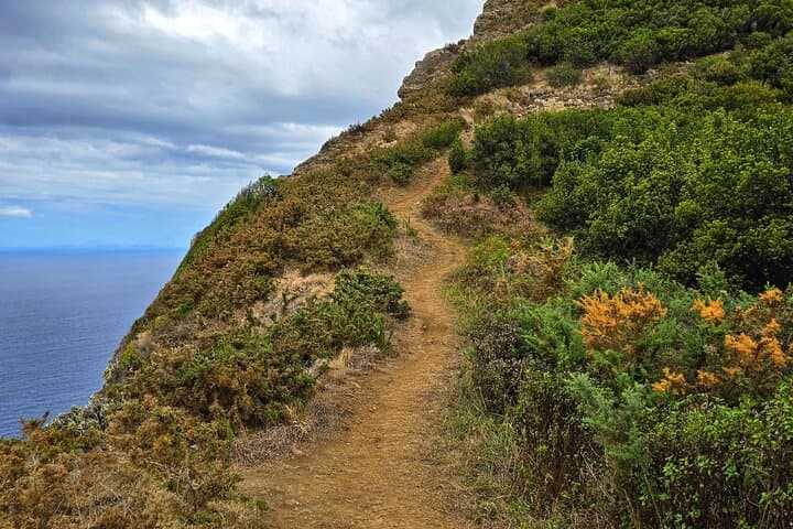 Vereda do Larano & Boca do Risco Private Coastal Hike — Madeira’s Eastern Cliffs photo 6