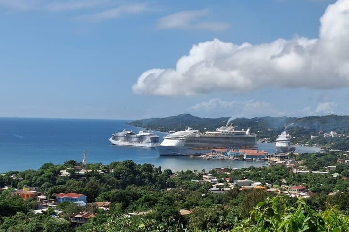 Roatán Private Tour: Monkeys, Sloths & Island Food (West Bay Highlights) photo 5