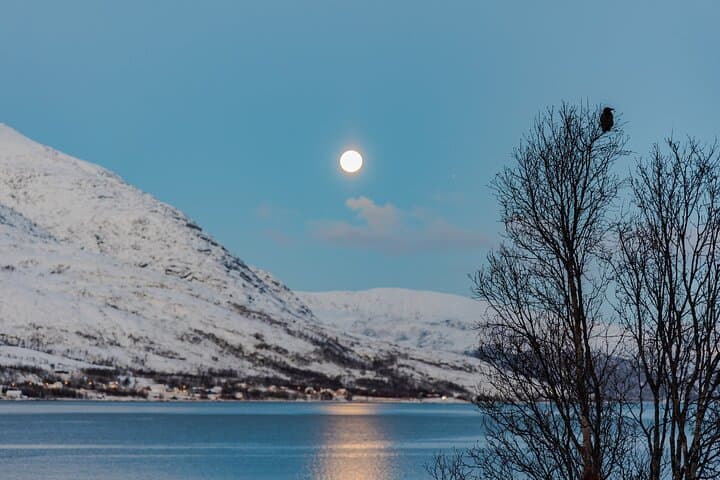 4-Hour Five Fjords Minivan Tour from Tromsø — Scenic Stops & Photo Tips photo 2