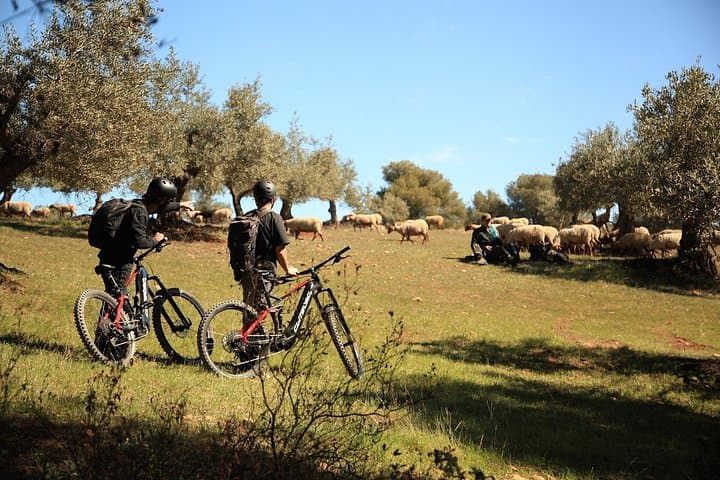 Granada to Sierra Nevada E‑Bike: Villages, Wildlife & Mountain Lakes photo 2