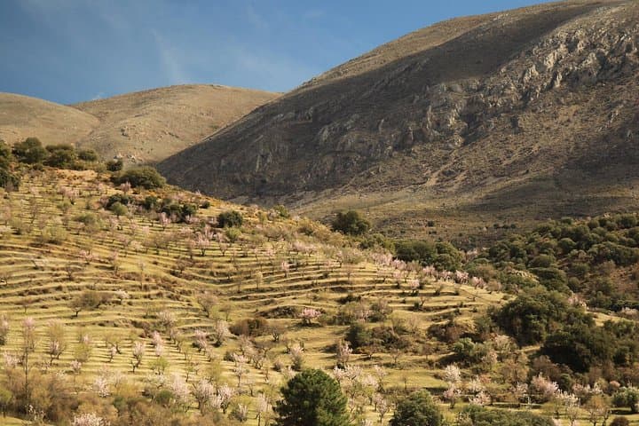 Granada to Sierra Nevada E‑Bike: Villages, Wildlife & Mountain Lakes photo 4